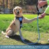 Petology Dog Leash 5FT Long, ½ Inch Thick Reflective Heavy Duty Rope with Anti-Slip Padded Handle for Small & Medium Dogs Blue