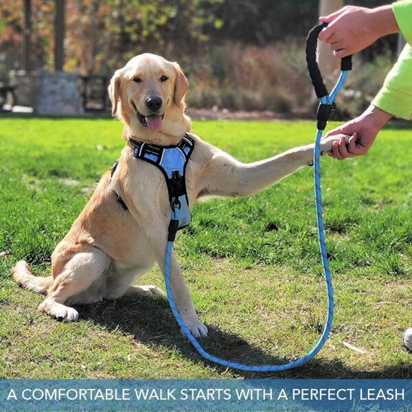 Petology Dog Leash 5FT Long, ½ Inch Thick Reflective Heavy Duty Rope with Anti-Slip Padded Handle for Small & Medium Dogs Blue