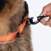 HUFT Rope Leash for Dogs - Orange - 4 ft