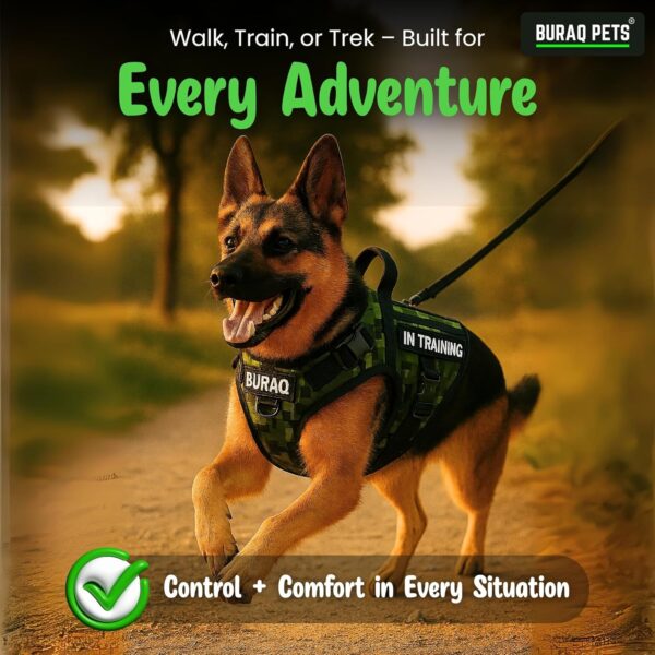 81SFMbicmcL._SL1500_.jpg Buraq Military Tactical Dog Harness, No-Pull Adjustable Training Vest with Handle Easy Control, Tactical Vest Harness for Walking Training Hiking (Grey, L)