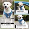 81SqP9sTLBL._SL1500_.jpg FYA Dog Harness With 1.5M Rope, No-Pull Reflective Pet Vest Harness, No-Pull Pet Harness, Reflective No-Choke Pet Oxford Vest With Easy Control Handle For Midium Large Dogs,Lake Blue