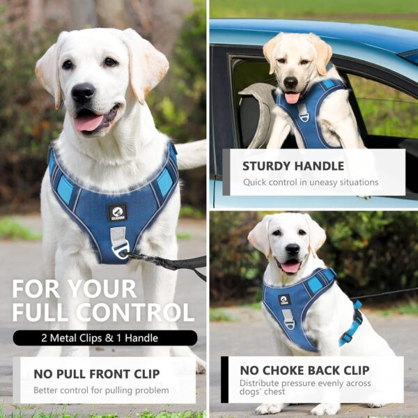 81SqP9sTLBL._SL1500_.jpg FYA Dog Harness With 1.5M Rope, No-Pull Reflective Pet Vest Harness, No-Pull Pet Harness, Reflective No-Choke Pet Oxford Vest With Easy Control Handle For Midium Large Dogs,Lake Blue
