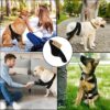 81T9ZABXw4L._SL1500_.jpg Western Era Dog Disability Leg Support Brace | Rear & Front Leg Injury Aid for Arthritis, Mobility, Sprain Recovery | Wrap for Disabled Dogs with Padding | Helps Walking, Balance, Joint Relief (Left)