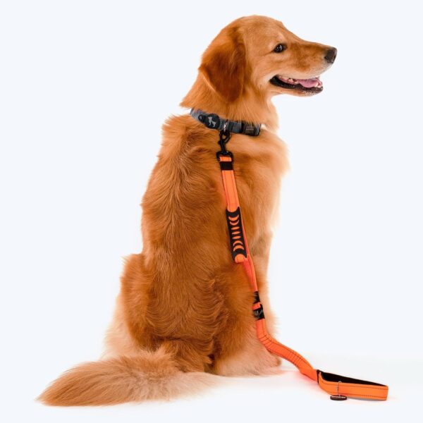 81TWeGbMBdL._SL1500_.jpg Heads Up For Tails Shock Absorption Dog Leash - Orange