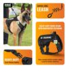 81Tk2j3LBLL._SL1500_.jpg Buraq Customized Tactical Dog Harness β No-Pull, Heavy-Duty K9 Vest with Handle, Adjustable Training Harness for Walking, Running & Hiking, Easy-Control Design for Medium & Large Dogs (Black - M)