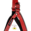 Adjustable Breathable Dog Chest Belt Harness and Padded Leash Belt for Adult Breeds | Comfortable for Training, Walking, Running (Red Color - 1 Inch)