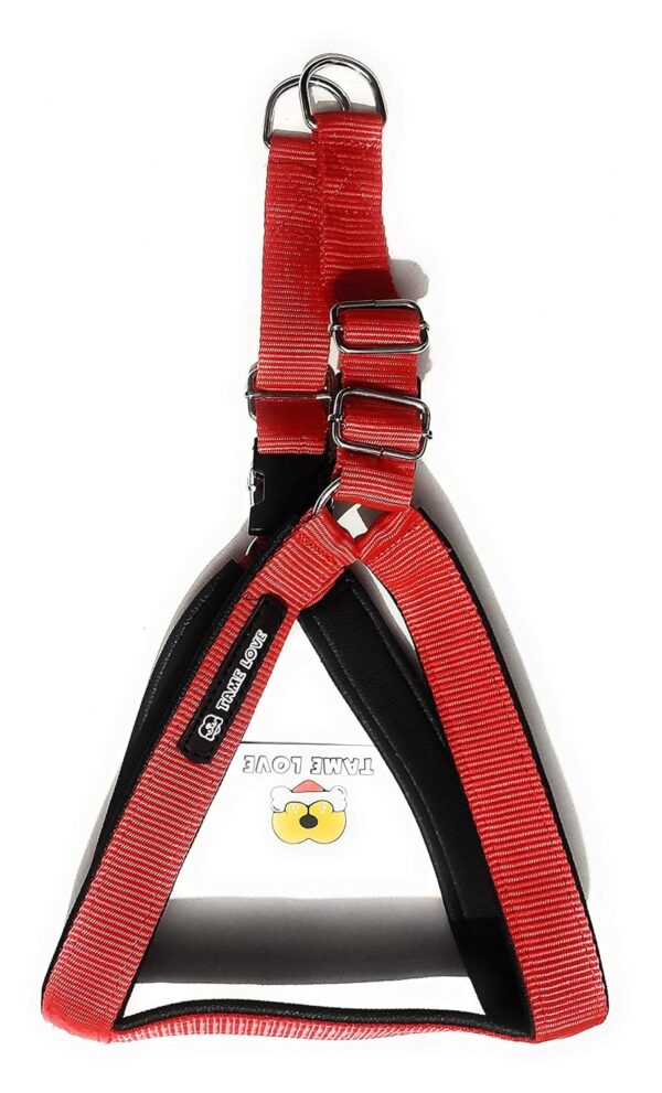 Adjustable Breathable Dog Chest Belt Harness and Padded Leash Belt for Adult Breeds | Comfortable for Training, Walking, Running (Red Color - 1 Inch)