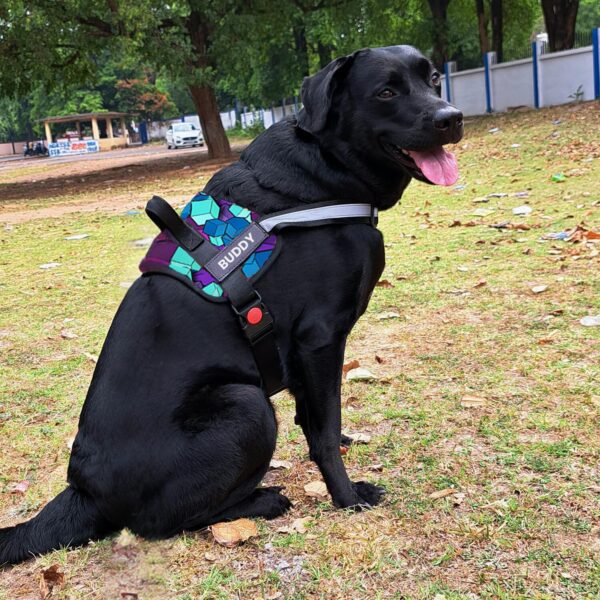 81TqHeJwMxL._SL1500_.jpg Dog Vest Harness, Choke-Free Double Padded Vest, Adjustable Neck & Chest, Reflective Soft Breathable Mesh | for 14-23 Kilograms Dogs (M, Diamond)