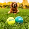 Outward Hound Squeaker Ballz 2-Pack – Large Durable Dog Toy, High-Bounce Tennis Balls with Squeaker, Interactive Fetch & Chew Toy for Active Dogs