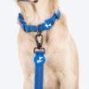 81U89rAPq-L._SL1500_.jpg HUFT Comfort Plus Pet Leash - Blue - M| Stylish & Durable Dog Leash for Small Dogs & Puppies | Strong Grip, Lightweight & Comfortable | Perfect for Daily Walks