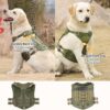 81UITcSwtbL._SL1500_.jpg Tactical Dog Harness for Medium Large Dogs No Pull Adjustable Dog Vest for Training Walking Military Grade with Molle Panels Easy Control Tactical Harness with Handle (Green, Large)