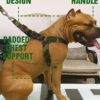 RvPaws Dog Army Print Adjustable Harness and Leash for Maxi RvPaws Dog Army Print Adjustable Harness and Leash for Maxi and Large Breed Dog Body Harness Military Design Heavy Hook Maxi Large Breed - Size XXL 1.5 Inch