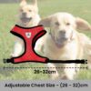 Kuber Industries 1 to 3 Months Small Dog/Cat Chest Harness with Nylon Leash I No Pull, Soft Padded and Breathable Pet Vest I Adjustable, Reflective I Easy Control Pet Chest Belt I (XX-Small,Red)
