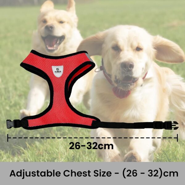 Kuber Industries 1 to 3 Months Small Dog/Cat Chest Harness with Nylon Leash I No Pull, Soft Padded and Breathable Pet Vest I Adjustable, Reflective I Easy Control Pet Chest Belt I (XX-Small,Red)