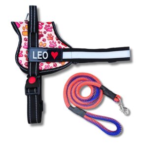 Pet King Personalized No-Pull Dog Harness with Leash � Custom Dog Name & Phone Number Adjustable Reflective Vest for All Breeds Size � Easy Control & Comfortable. (REDPAW, M(13-19 KGs))