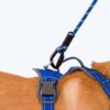 81W1h2LRZlL._SL1500_.jpg HUFT Active Pet Dog Harness - Royal Blue (S) | Lightweight Adjustable Harness for Puppies, Small Dogs, and Medium Dogs | Durable and Stylish Dog Leash and Harness for Training & Everyday Use