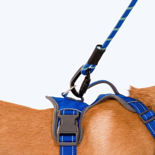81W1h2LRZlL._SL1500_.jpg HUFT Active Pet Dog Harness - Royal Blue (S) | Lightweight Adjustable Harness for Puppies, Small Dogs, and Medium Dogs | Durable and Stylish Dog Leash and Harness for Training & Everyday Use