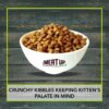 81W6w3AWWTL._SL1500_.jpg Meat Up Kitten(1-12 months) Dry Cat Food ,Ocean Fish,600g (Buy 1 Get 1 Free ) Total 1.2Kg Pack