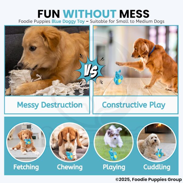 Foodie Puppies Natural Latex Rubber Squeaky (Blue Doggy) Dog Toy | Small to Medium Dogs & Puppy | Durable, Animal Design, Fetch & Chew Safe Play Toy | Reduce Separation Anxiety