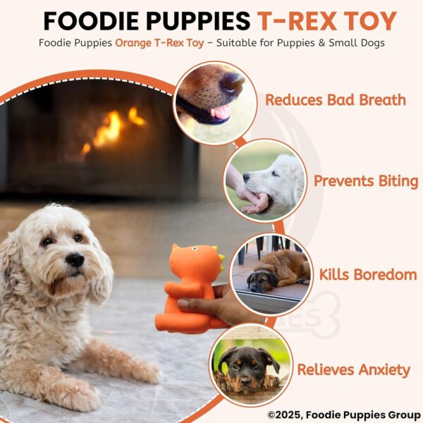 81XZB4171fL._SL1500_.jpg Foodie Puppies Dog Squeaky Chew Latex Rubber Toy - (Orange T-Rex) for Small Dogs & Puppies | Durable, Soft, Animal Design, Fetch & Chew Safe Play Toy | Reduce Separation Anxiety