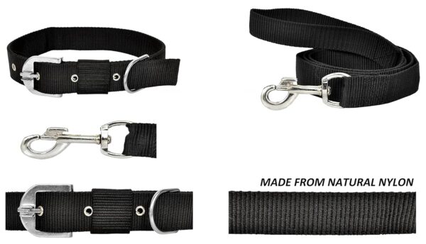 SNOOKUM Dog Leash Collar Set Size 0.50 Dog Collar & Leash (Extra Small, Nylon Leash & Collar Set Size 0.50 INCH) Color May Vary