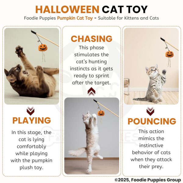 Foodie Puppies Cat Teaser Playing Wooden Stick Halloween Plush Toy (Pumpkin, 41cm) for Cats and Kittens | Interactive Bell Hanging Wood Wand | Fun Teasing, Catching, Chasing and Bonding Play