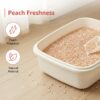 Amazon Basics Premium Tofu Cat Litter | 2.5 Kg |Organic | Biodegradable | Flushable | Dust-Free | Instant Clumping | Mild Peach Fragrance