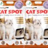 WOW DOG Catspot Cat Litter (Lavender Fragrance) 10 Kgs -Scoopable Smart Bentonite (for Multiple Cats)