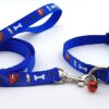 RvPaws 15 MM Paw/Bone Printed Soft Nylon Collar Belt and Leash Set for Small Breed Dog and Puppies - Blue