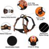 81Z1yCpJdhL._SL1500_.jpg Wooflix Heavy Duty Reflective Dog Harness for Large Sized Breed Dogs – No Pull, No Choke Harness for Dog with Adjustable Chest Belt with Soft Padded Handle | Orange – Size: Large (22kg to 32kg Dog)