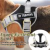 Dog Harness, Adjustable Dog Body Belt For Large Dogs With Copybook Dog Vest (XL, Black, Pack of 1),330 gram