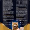 Drools Adult Cat Wet Mousse 80gm | Chicken | Rich in Protein, Promotes Hydration & Easy to Digest | Grain Free, No Artificial Flavours | Packed with Essential Vitamins & Antioxidants