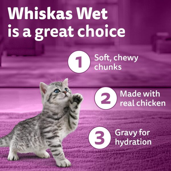 81Zj6QNPIqL._SL1500_.jpg Whiskas Junior Kitten (2-12 Months) Wet Cat Food, Chicken in Gravy, 80 g (Pack of 14), Hydrating Food Made With Real Chicken, 100% Complete & Balanced Nutrition for Kittens