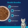 81ZrbegfRfL._SL1500_.jpg Carniwel Fresh Fish & Shrimp Kitten Dry Cat Food 400 gm | Fresh & Natural Ingredients | Highly Palatable | Supports Healthy Skin & Glossy Coat | Premium Nutrition
