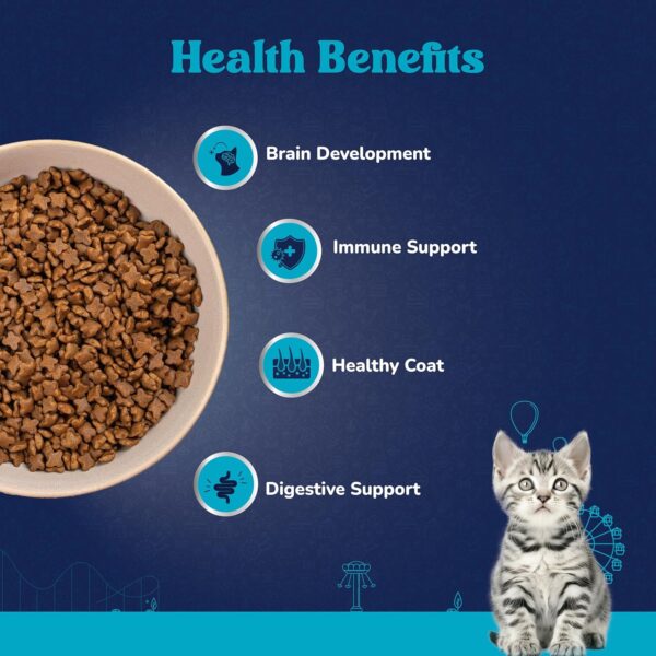 81ZrbegfRfL._SL1500_.jpg Carniwel Fresh Fish & Shrimp Kitten Dry Cat Food 400 gm | Fresh & Natural Ingredients | Highly Palatable | Supports Healthy Skin & Glossy Coat | Premium Nutrition