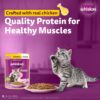 81a9IPeHzCL._SL1500_.jpg Whiskas Junior Kitten (2-12 Months) Wet Cat Food, Chicken in Gravy, 80 g (Pack of 14), Hydrating Food Made With Real Chicken, 100% Complete & Balanced Nutrition for Kittens