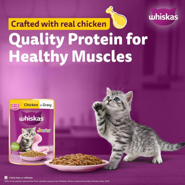 81a9IPeHzCL._SL1500_.jpg Whiskas Junior Kitten (2-12 Months) Wet Cat Food, Chicken in Gravy, 80 g (Pack of 14), Hydrating Food Made With Real Chicken, 100% Complete & Balanced Nutrition for Kittens