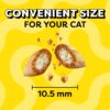Whiskas Temptations Tartar Control Seafood Medley Flavour Treats for Cats, 6.3-Ounce Pouches (Pack of 10)