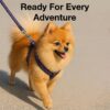 Dog Harness No Pull with Front Clip | Dog Walking Chest Harness with Reflective Adjustable Soft Padded Vest and Easy Control Handle Sizes (Medium, Purple)