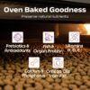81boHeD5aNL._SL1500_.jpg Good Cat Dry Cat Food | Oven Baked | Made with Real Chicken & Ocean 4 Fish Cat Food | 1 kg | Suitable for All Ages | High Palatability | Tuna, Salmon & Mackerel | Essential Taurine for Vision