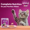 Whiskas Junior Kitten (2-12 Months) Wet Cat Food, Mackeral Flavour, 80 g x 28, 100% Complete & Balanced Nutrition, Supports Healthy Immune System