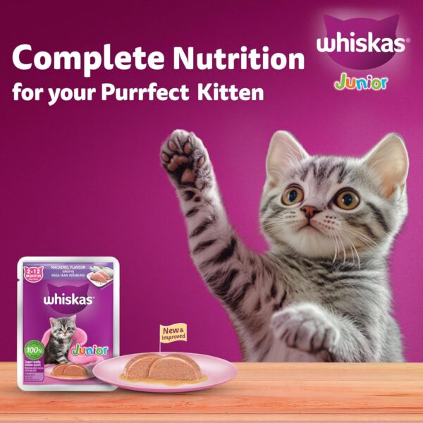 Whiskas Junior Kitten (2-12 Months) Wet Cat Food, Mackeral Flavour, 80 g x 28, 100% Complete & Balanced Nutrition, Supports Healthy Immune System