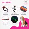 Dog Leash, Dog Rope, Strong and Comfortable, Suitable for Small, Medium, and Large Dog Breeds (up to 80 kg), 5 Feet Long, 12mm / 0.5 inch Thick, Padded Handle, Reflective Rope (Black)