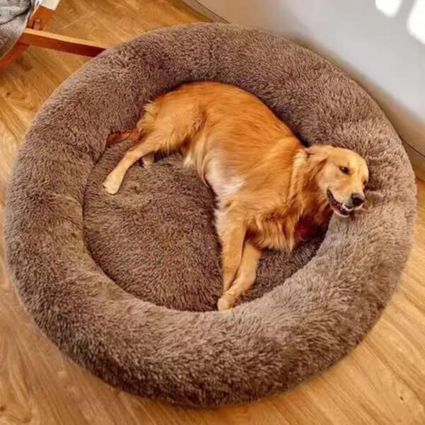 ZEXSAZONE Round Donut Pet Bed for Cats and Puppies Dogs ZEXSAZONE Round Donut Pet Bed for Cats and Puppies Dogs mat, Cozy and Plush, Raised Bedside Support, Both Sides Use Like 2 in One, Washable, Sizes for Small, Medium, and Large Pets. (Coffee, Medium)