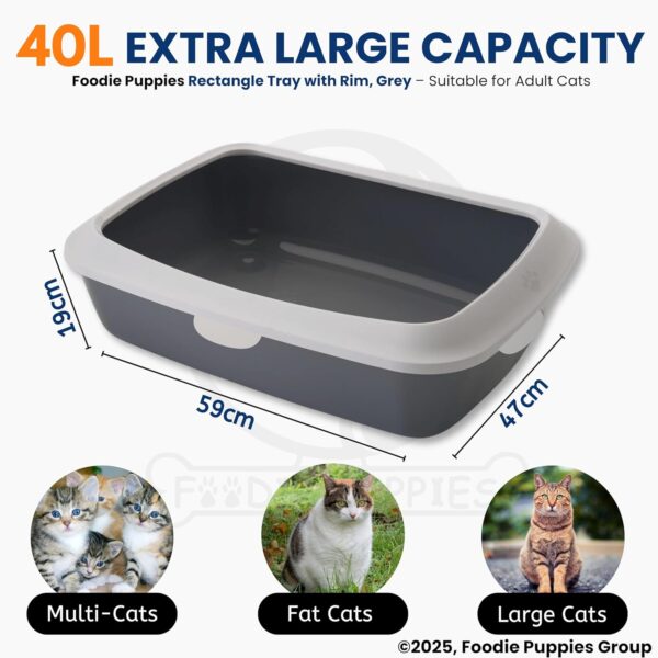 Foodie Puppies Rectangle Cat Litter Tray (Large (Grey) - 59 x 47 x 19 cm) with Rim, Reduces Odor, Perfect Starter for Toilet Training Your Kitten and Puppies