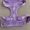 Dogs Harness l No Choke Comfortable Dog Vest Harness l Soft Comfortable Padded l Anti-Pull Harness for Walking, Training (S)