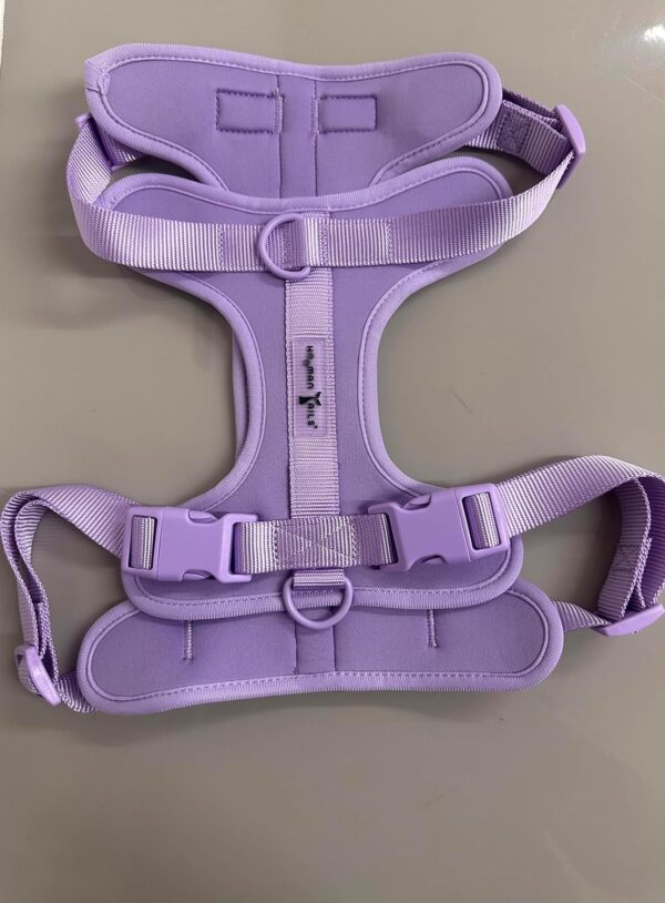 Dogs Harness l No Choke Comfortable Dog Vest Harness l Soft Comfortable Padded l Anti-Pull Harness for Walking, Training (S)
