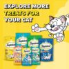 Temptations Creamy Purrrrr-ée Lickable Cat Treats, Salmon & Cheese Flavour, 48 G, Made with Real Fish, Goodness of Protein, Vitamins & Minerals,All Life Stages
