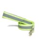 PetWale Dog Leash with Padded Handle | Suited for Walking, Running, Training & More | Reflective Green Nylon | Easy to Clean & Maintain | Durable & Sturdy | L: 5 feet, W: 1.5 inches