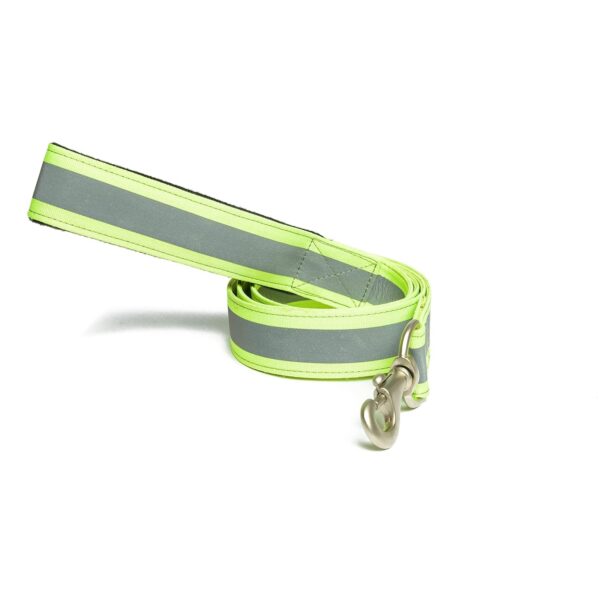 PetWale Dog Leash with Padded Handle | Suited for Walking, Running, Training & More | Reflective Green Nylon | Easy to Clean & Maintain | Durable & Sturdy | L: 5 feet, W: 1.5 inches